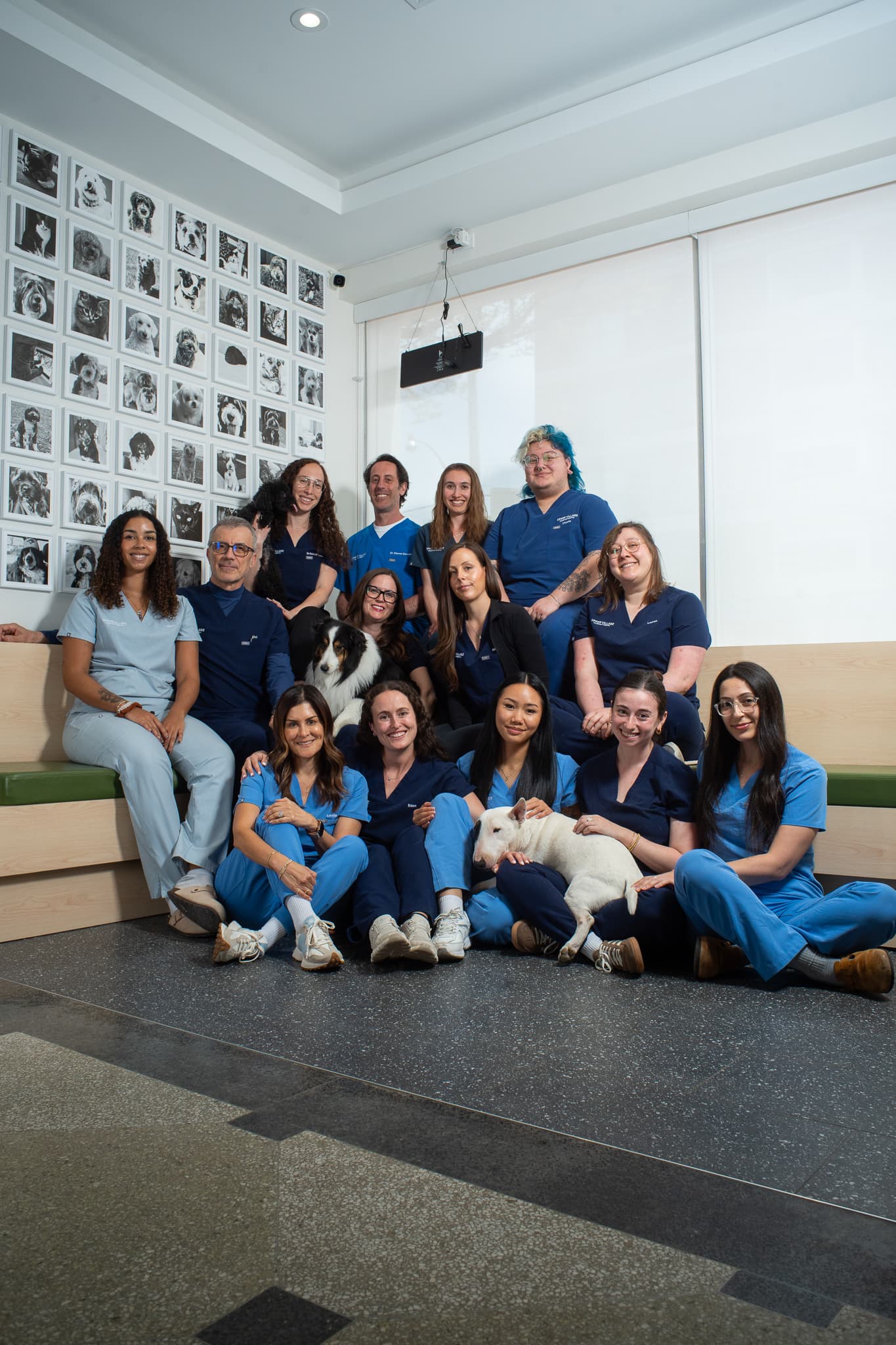Upper Village Veterinary Hospital team sitting together with pets
