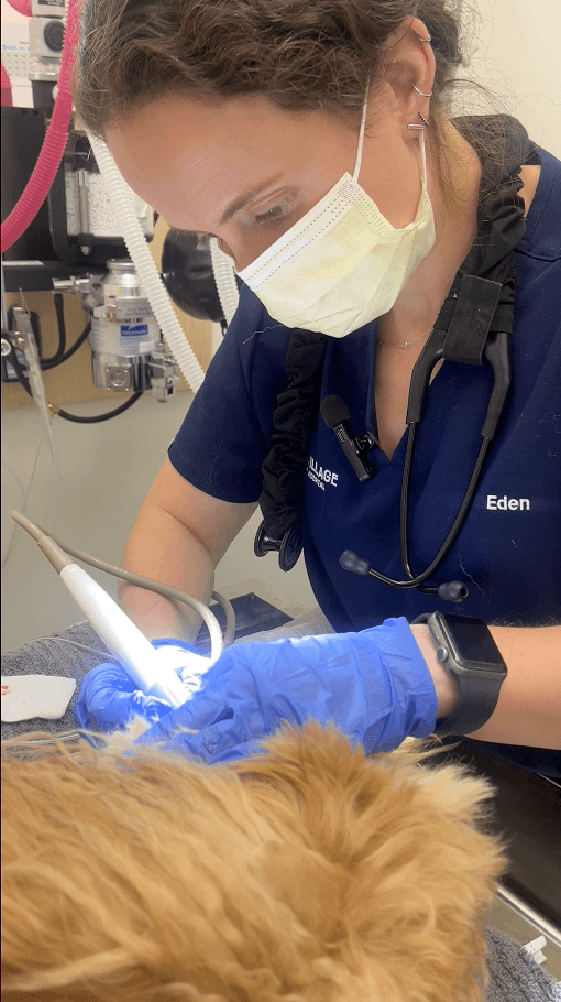 Upper Village team member providing dental care for a patient